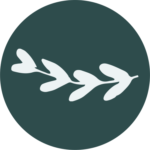 Zivers Veranda avatar