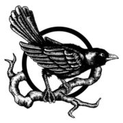 Blackbird avatar