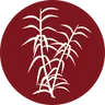 Young Thai Restaurang & Take away AB