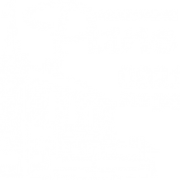 Panelen avatar
