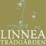 Linneaträdgården