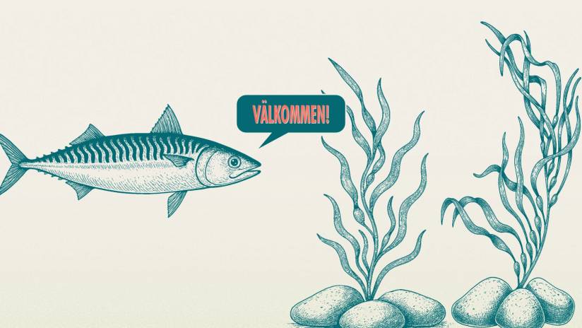 Fisk i hallen
