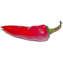 Källaren