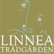 Linneaträdgården